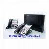 NEC-SL1000-12-40