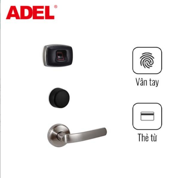 adel