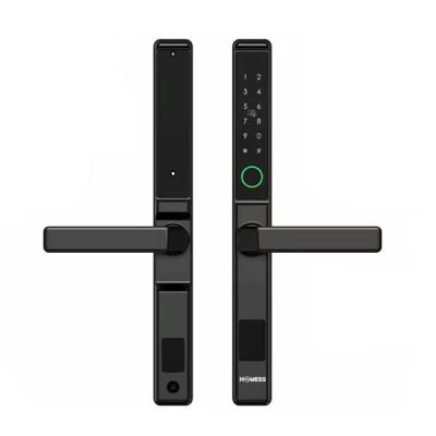 Khóa vân tay Anland Complex-Homess AL-110